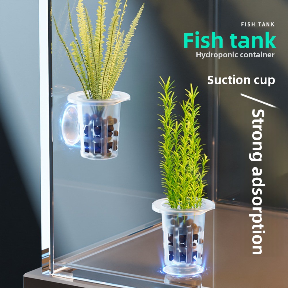 Planted Aquarium Materials - 10Pcs Transparent Plant Hydroponic Pot Plastic