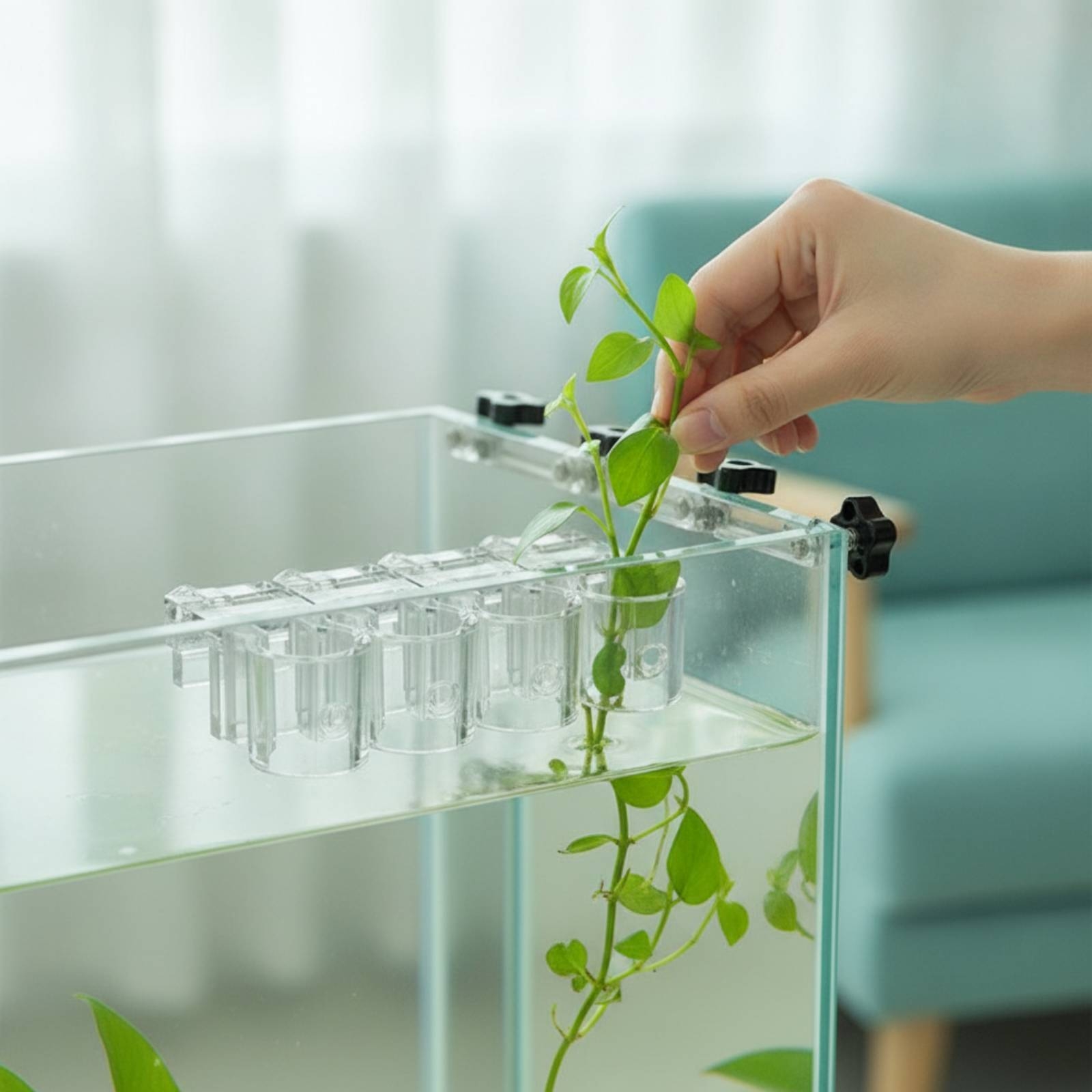6 Pieces Aquarium Planter Clea - Aquarium Plant Original 评论和价格