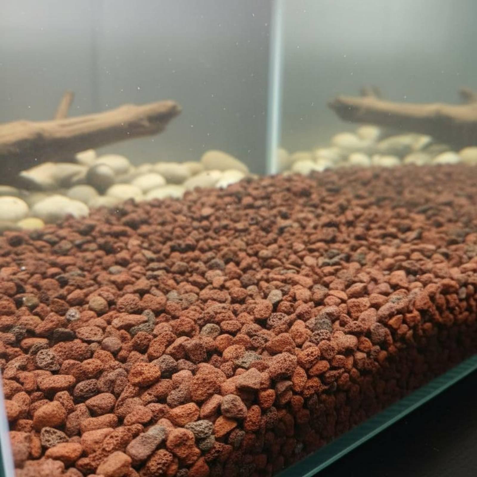 Fish Tank Lava Rock Decor Natu - Planted Aquarium With Rocks 评论和价格