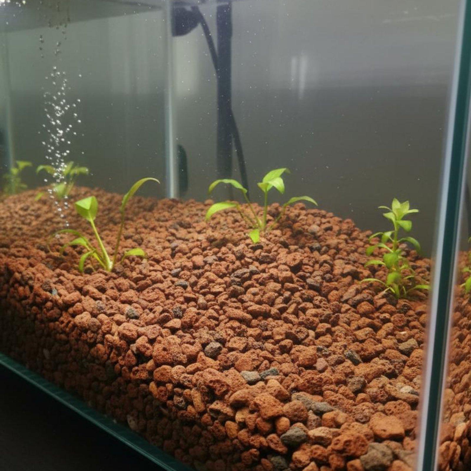 Fish Tank Lava Rock Decor Natu - Planted Aquarium With Rocks 评论和价格