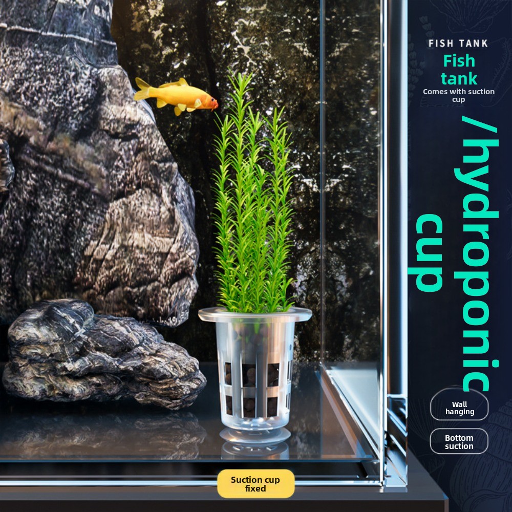 10Pcs Transparent Plant Hydrop - Planted Aquarium Materials 评论和价格