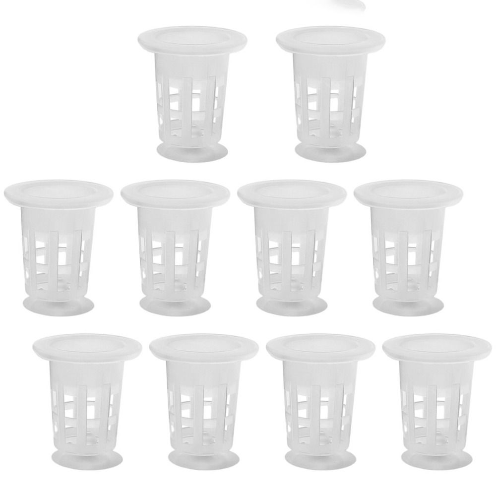 10Pcs Transparent Plant Hydrop - Planted Aquarium Materials 评论和价格