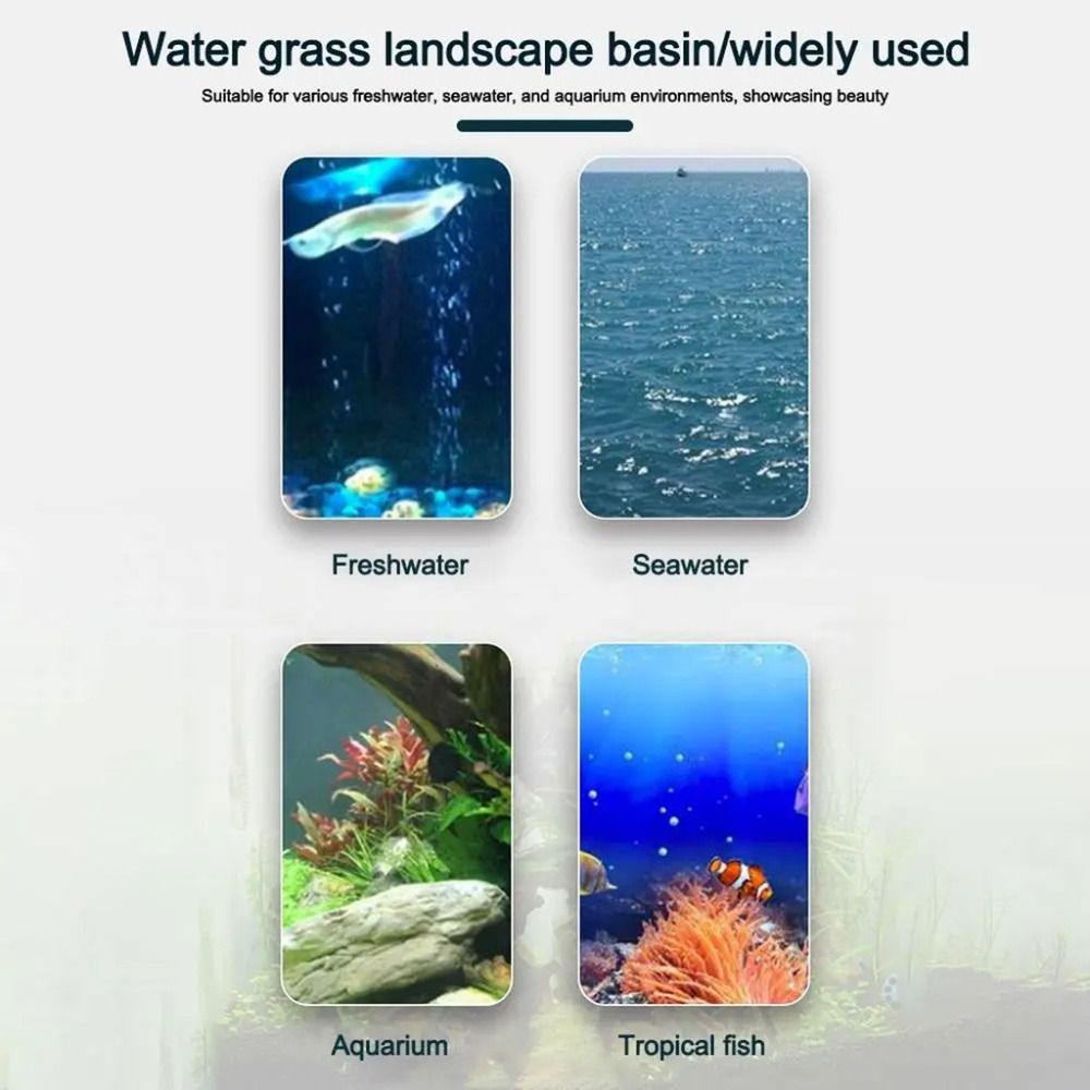 10Pcs Transparent Plant Hydrop - Planted Aquarium Materials 评论和价格