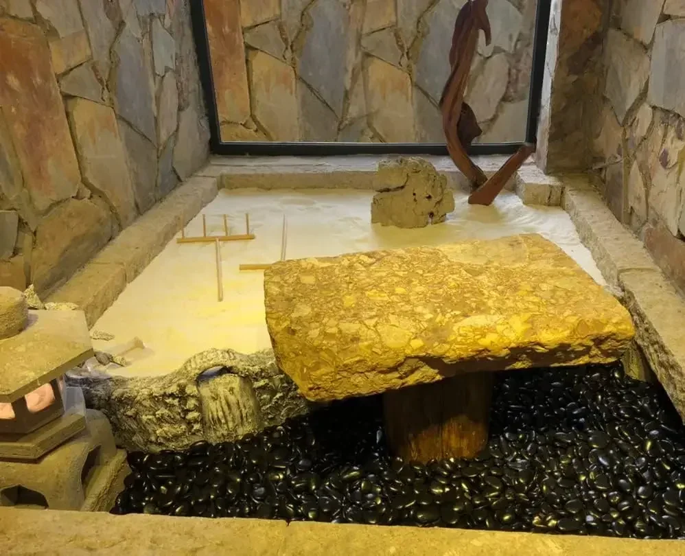 40 lbs Black River Rocks for L - Planted Aquarium With Rocks 评论和价格
