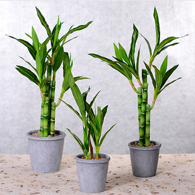 New 40cm Artificial Lucky Bamb - Aquarium Plant Nursery 评论和价格