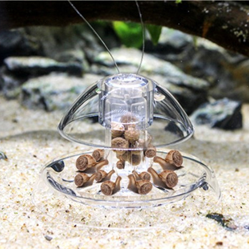 1PCS Fish Tank Aquarium Cleane - Planted Aquarium Materials 评论和价格