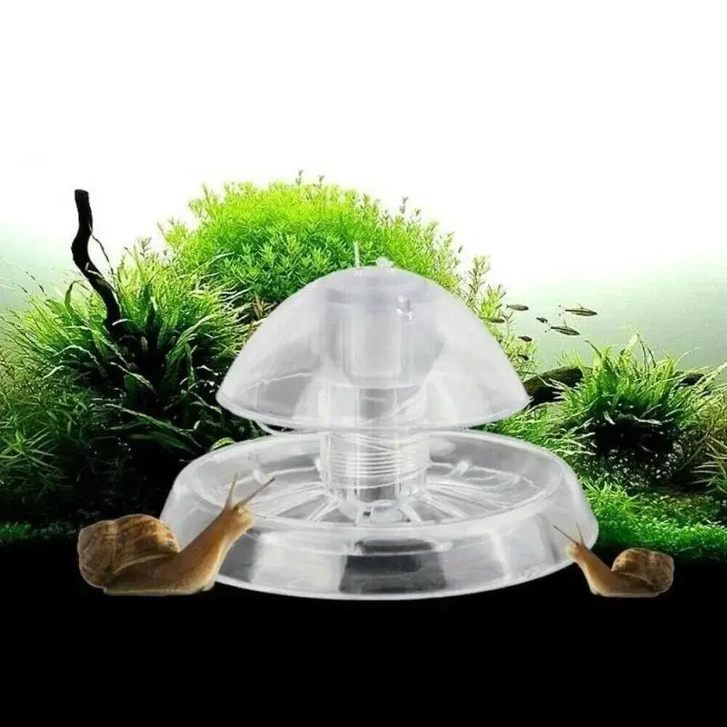 2026 New 6/8CM Clear Plastic S - Planted Aquarium Materials 评论和价格