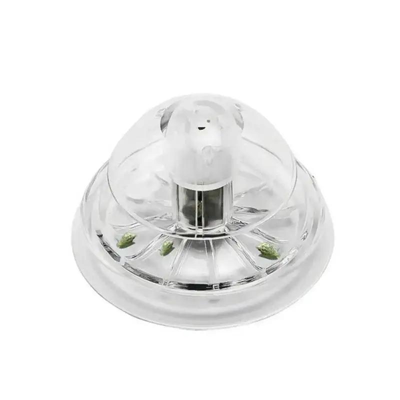 2026 New 6/8CM Clear Plastic S - Planted Aquarium Materials 评论和价格