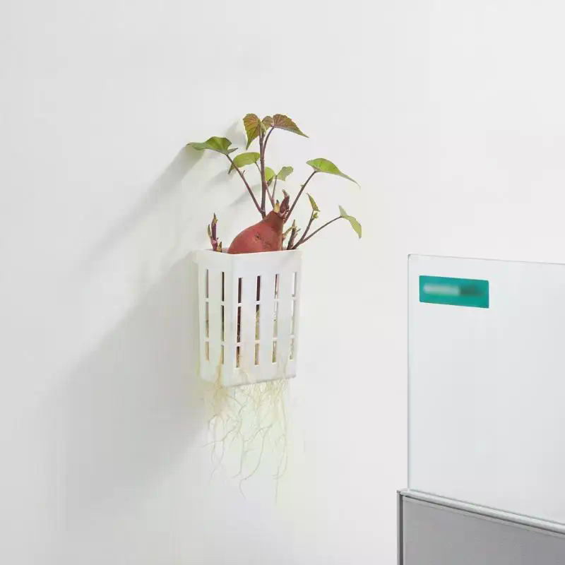 1Pcs Hydroponic Support Basket - Aquarium Plant Original 评论和价格