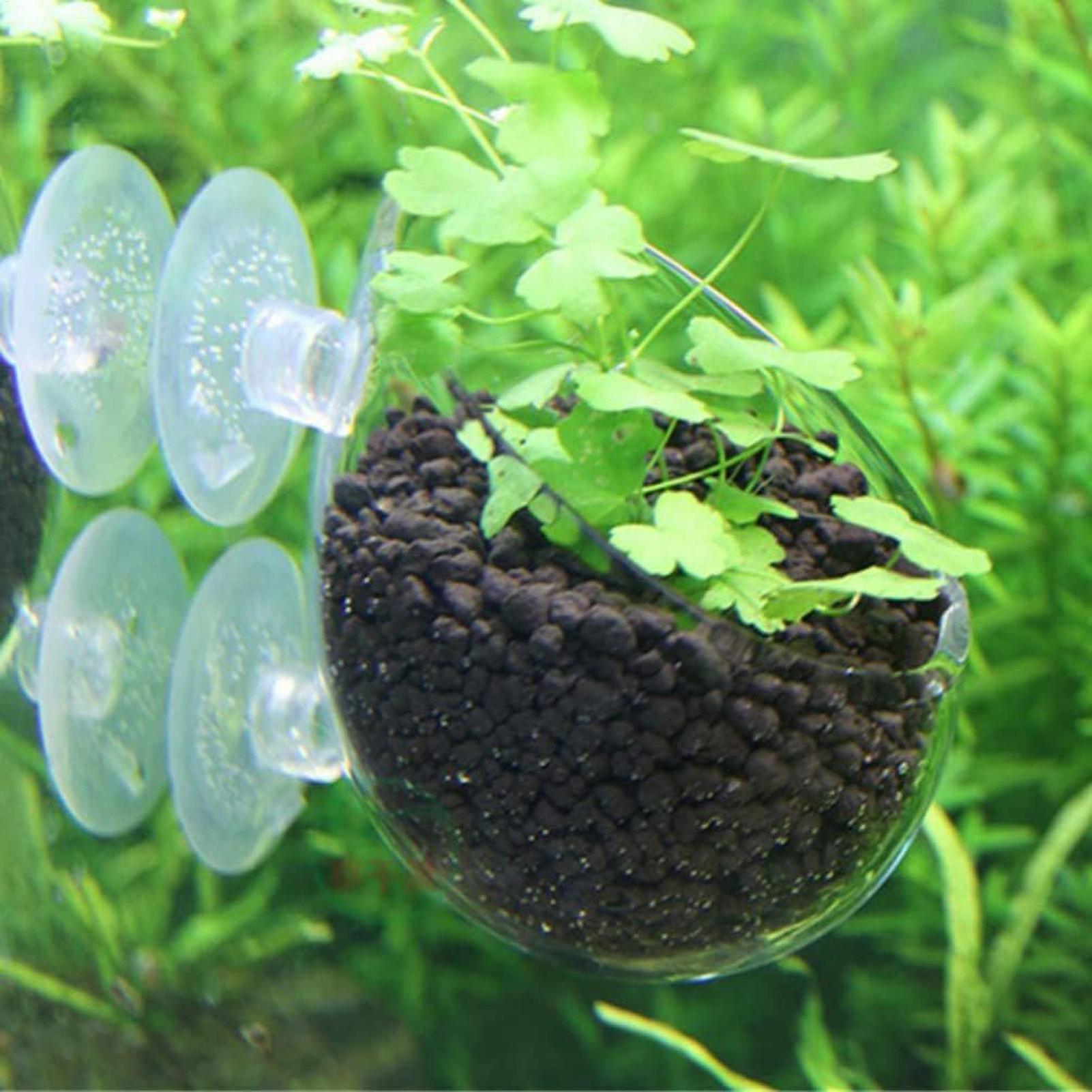 Aquarium Plant Holder Glass Aq - Planted Aquarium Materials 评论和价格