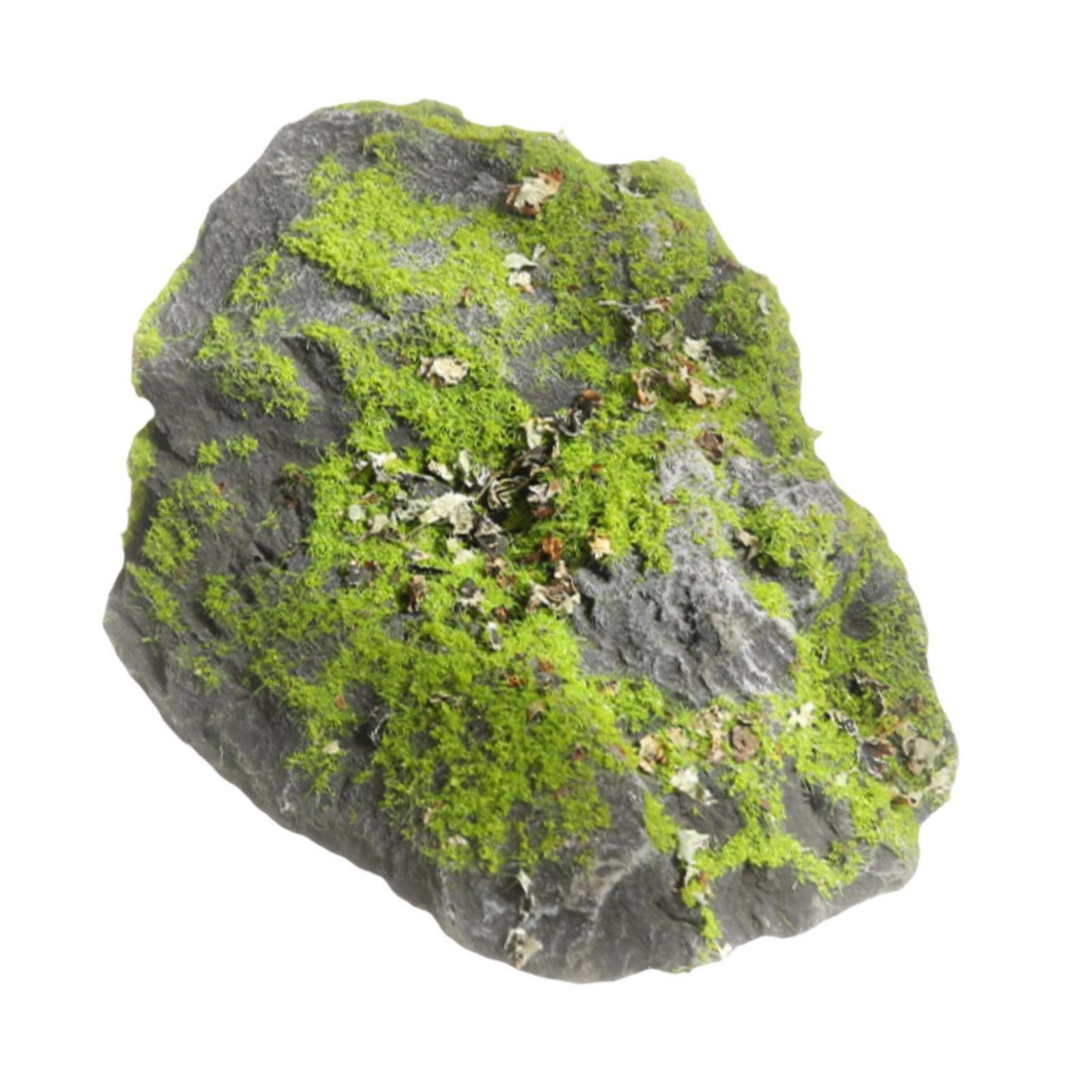 Fake Moss Stone Realistic Gree - Planted Aquarium With Rocks 评论和价格