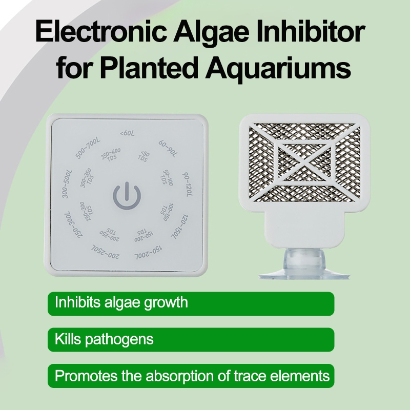 Electronic Aquarium Fish Tank  - Planted Aquarium Products 评论和价格