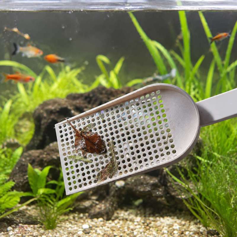 Aquarium Fish Tank Debris Scoo - Planted Aquarium Products 评论和价格
