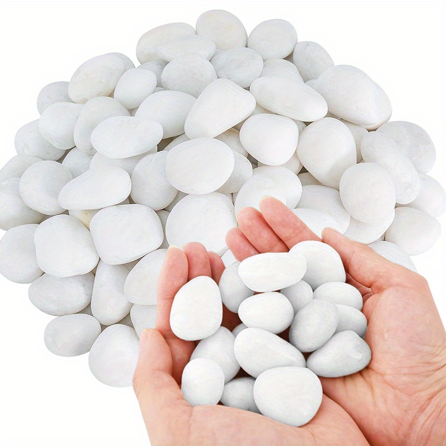 200/400g White High Polished N - Aquarium Plant Nursery 评论和价格