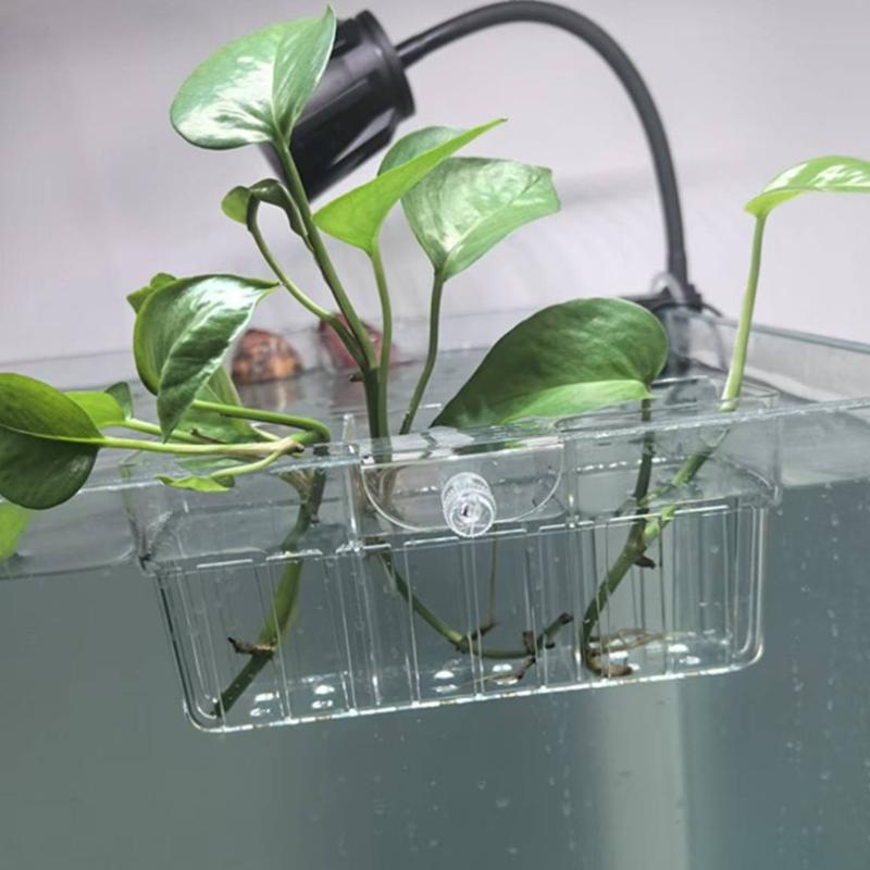 Hydroponic Plant Basket Food G - Aquarium Plant Original 评论和价格