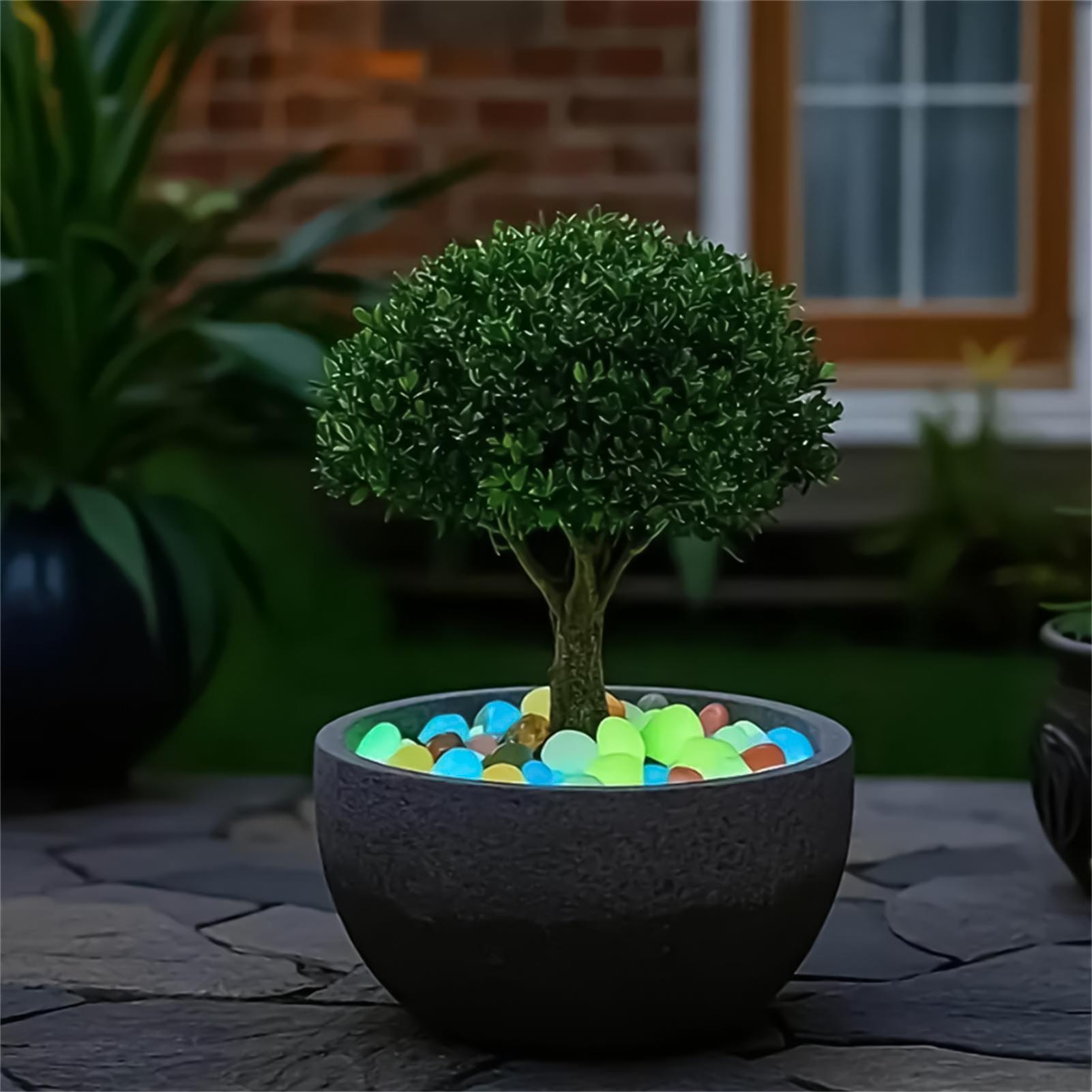 Landscaping Rocks 20 Pieces 1. - Planted Aquarium With Rocks 评论和价格