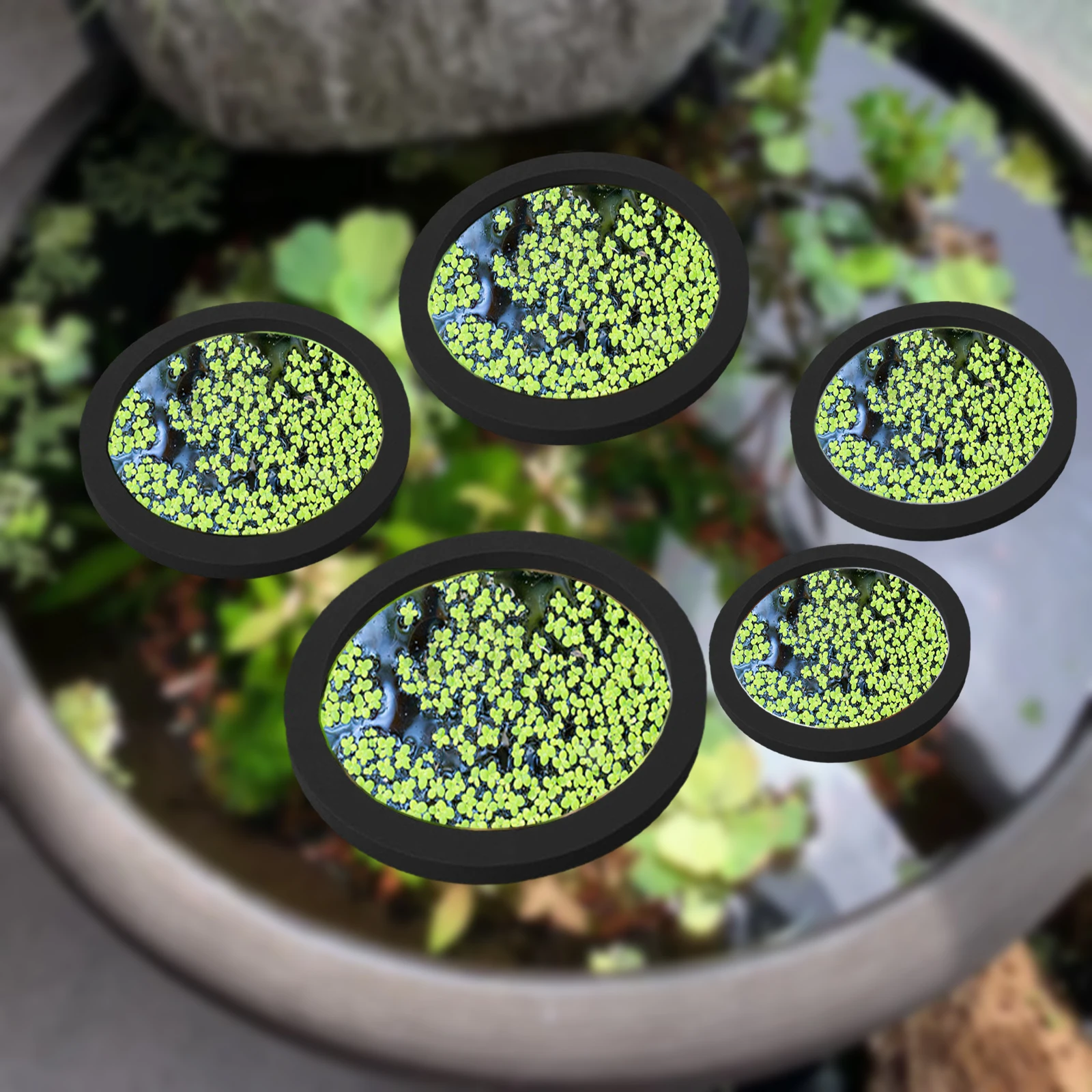 5Pcs EVA Fish Feeding Ring Aqu - Aquarium Plant Original 评论和价格
