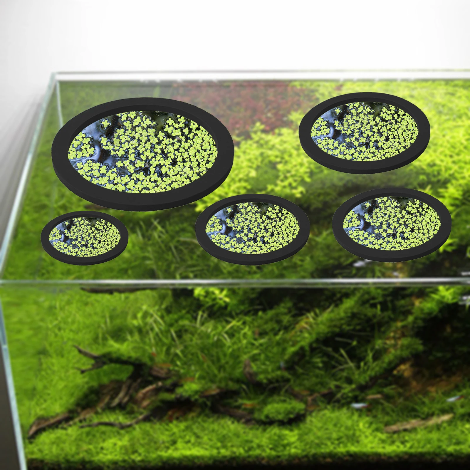 5Pcs EVA Fish Feeding Ring Aqu - Aquarium Plant Original 评论和价格