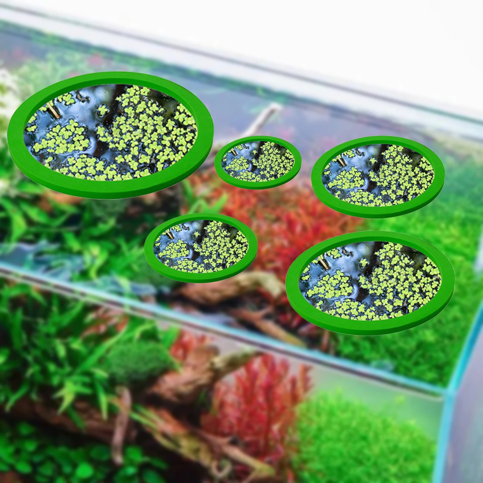 5Pcs EVA Fish Feeding Ring Aqu - Aquarium Plant Original 评论和价格