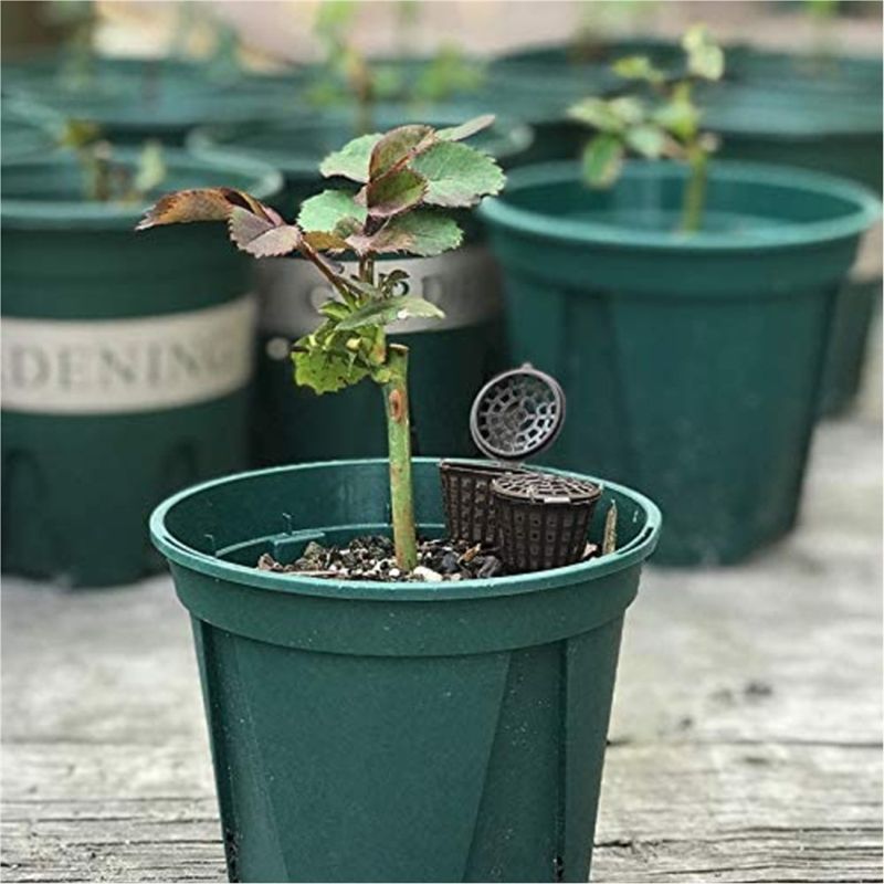 ABUH-Garden Nursery Fertilizer - Planted Aquarium Fertilizer 评论和价格