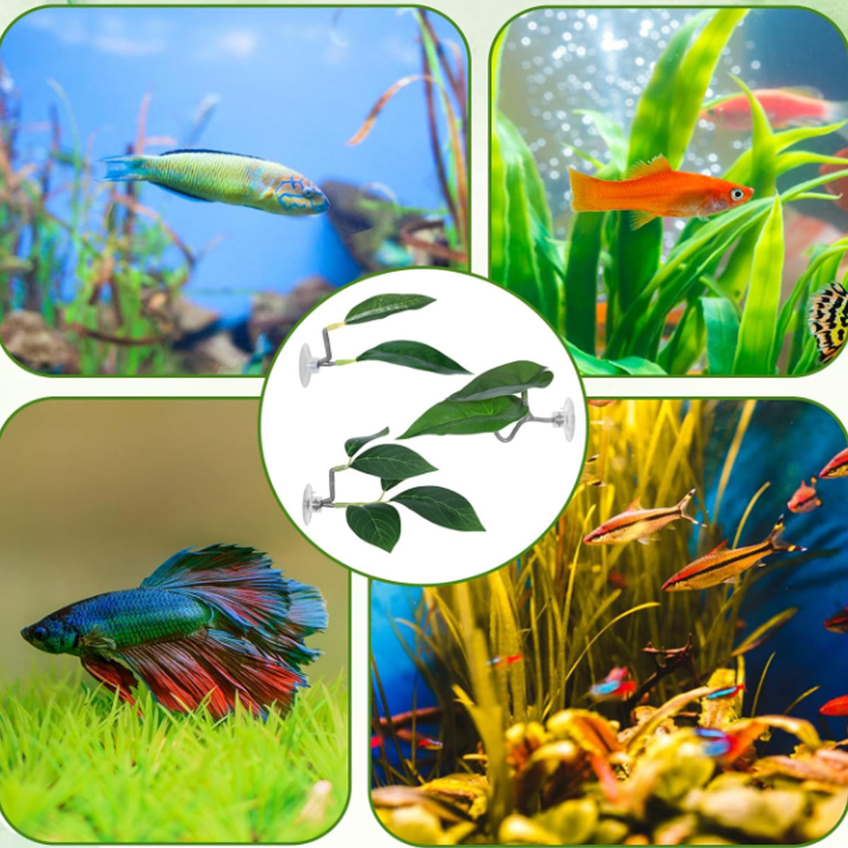 1 PC Betta Fish Hammock Soft A - Planted Aquarium Materials 评论和价格