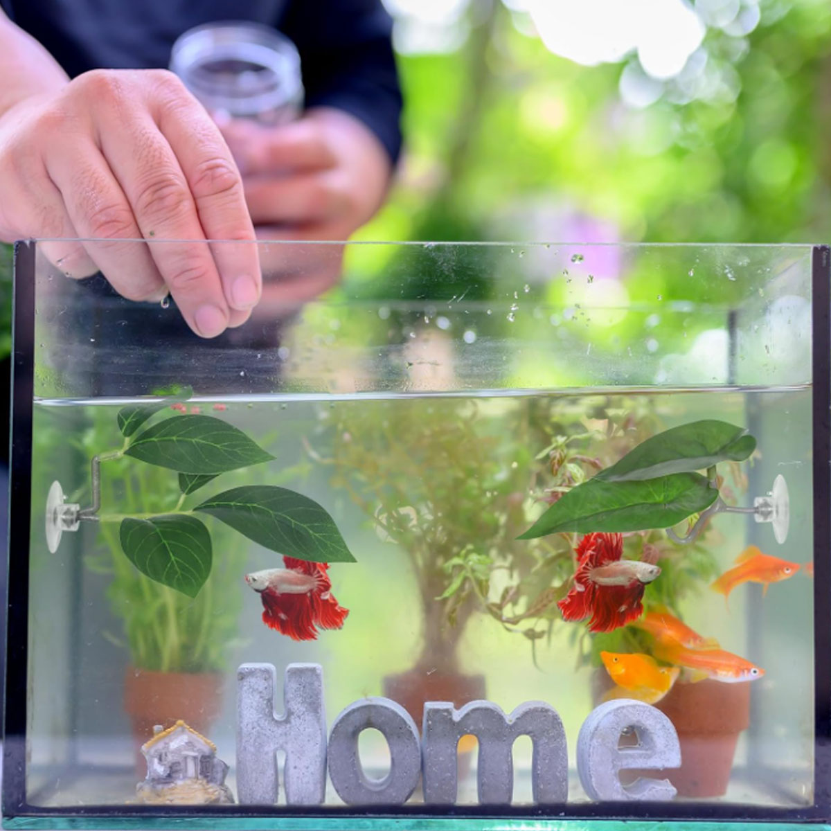 1 PC Betta Fish Hammock Soft A - Planted Aquarium Materials 评论和价格