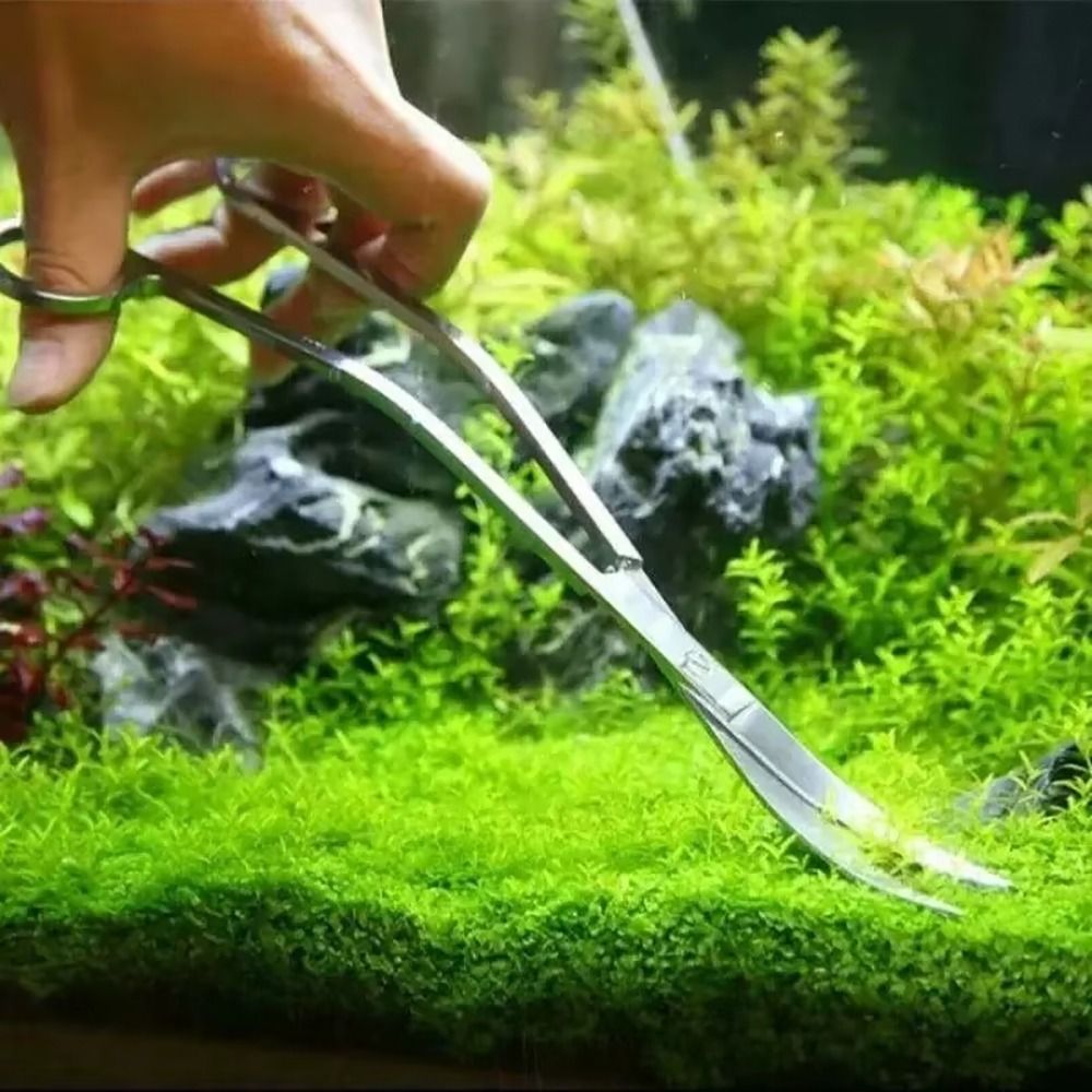 1Pcs Stainless Steel Aquarium  - Planted Aquarium Products 评论和价格