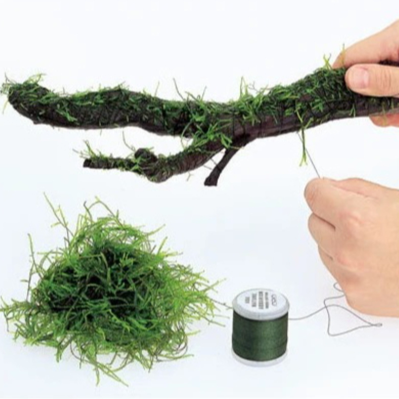 Biodegradable Aquarium Moss Th - Planted Aquarium With Rocks 评论和价格
