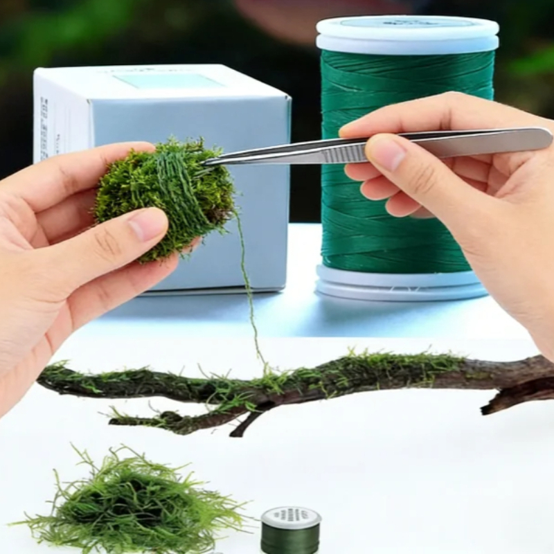 Biodegradable Aquarium Moss Th - Planted Aquarium With Rocks 评论和价格