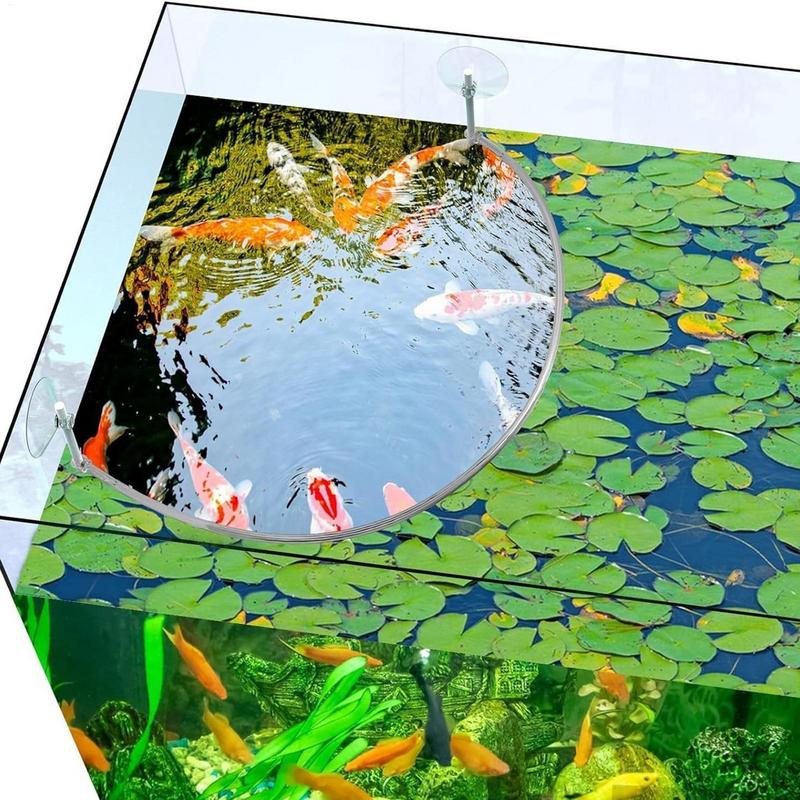 Floating Plant Corral Fish Fee - Planted Aquarium Materials 评论和价格