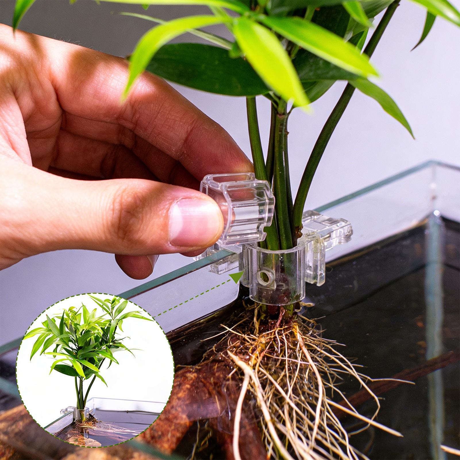 6pcs Aquarium Plant Holders Cl - Planted Aquarium Materials 评论和价格