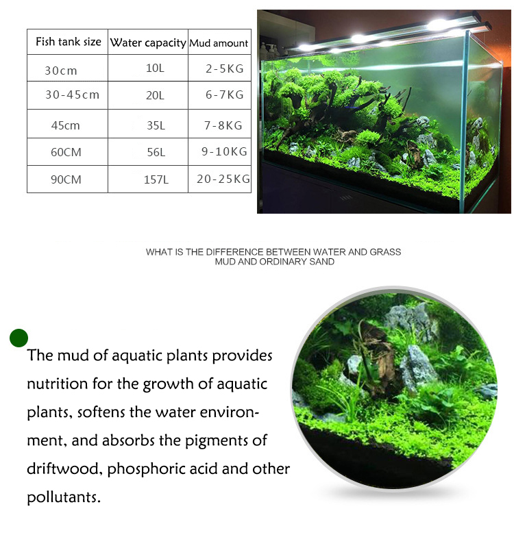 Aquarium Plant Seeds Soil Fish - Aquarium Plant Nursery 评论和价格