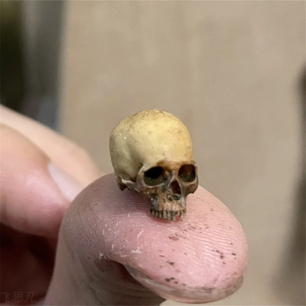 Mini Skull High Quality Miniat - Aquarium Plant Nursery 评论和价格
