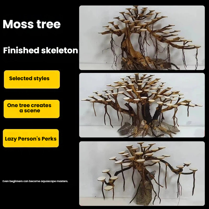 Aquarium Landscaping Moss Tree - Aquarium Plant Nursery 评论和价格
