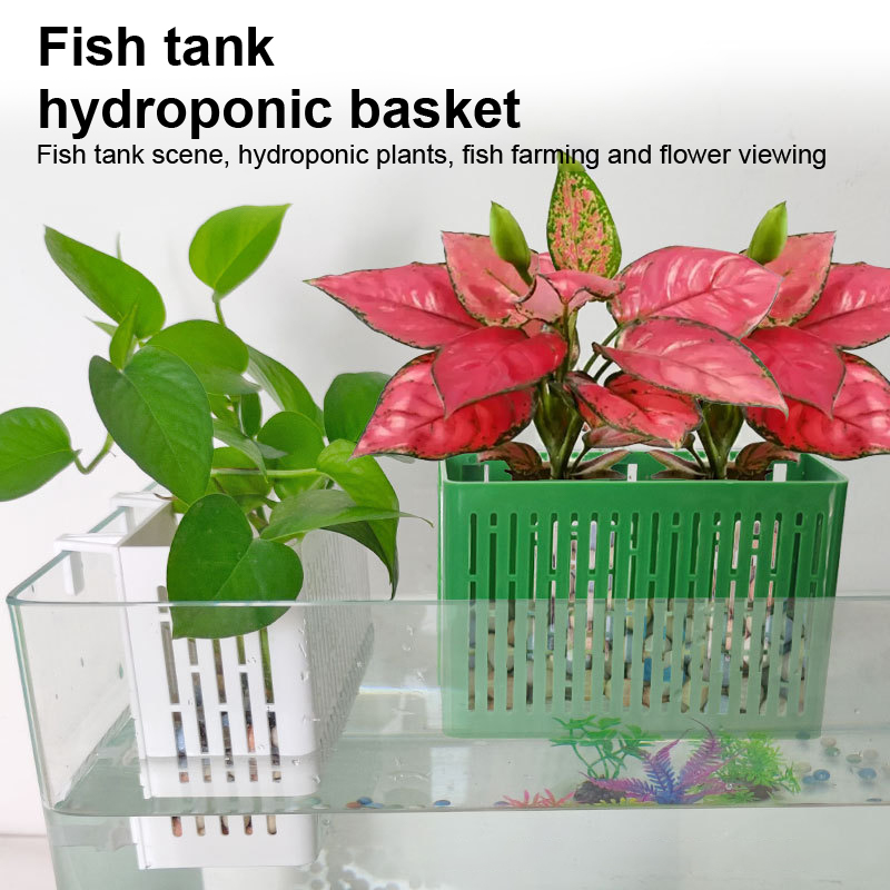 【F】Fish Tank Hanging Planter A - Aquarium Plant Nursery 评论和价格